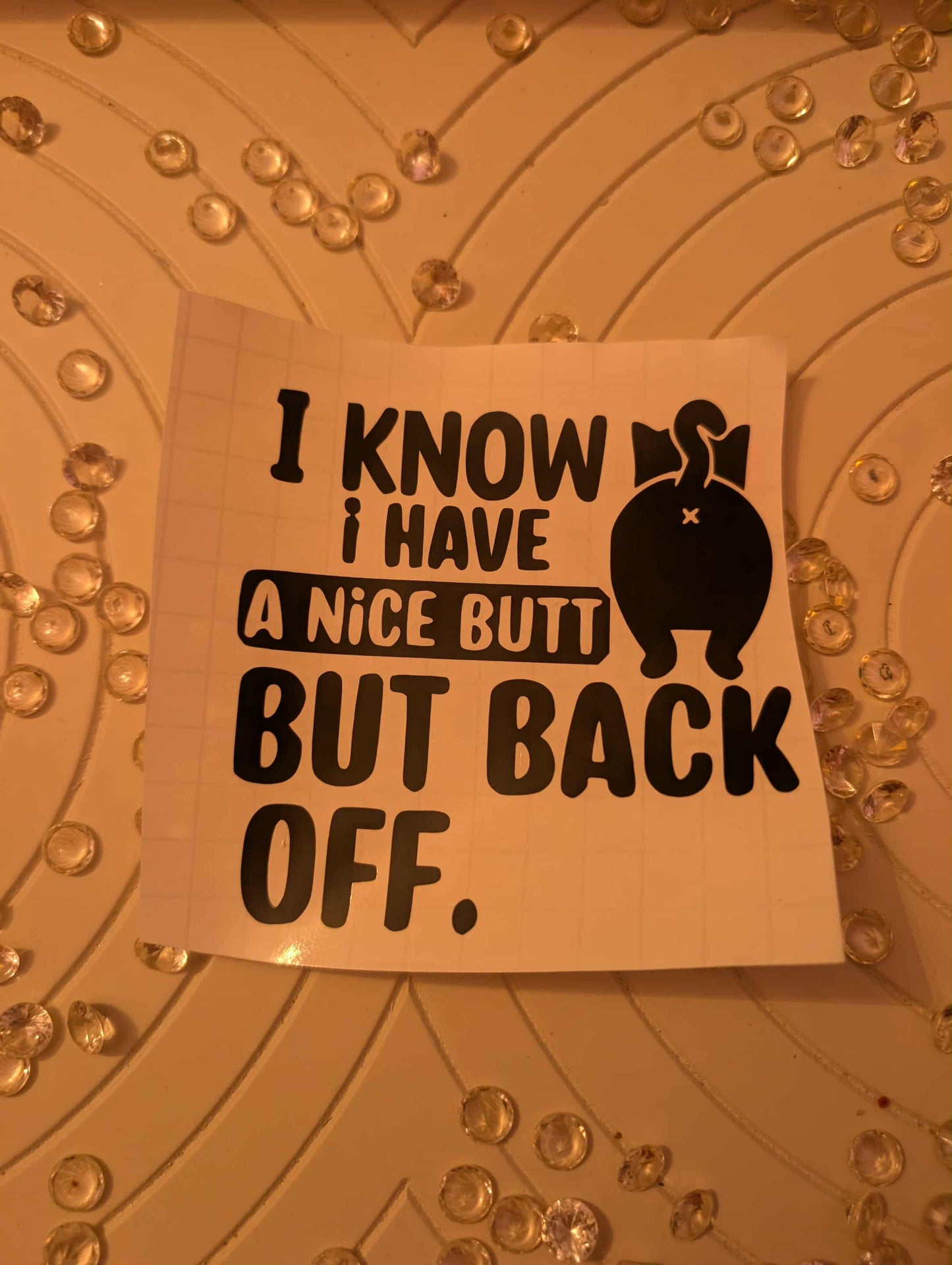 I Know I Have A Nice Book Sticker